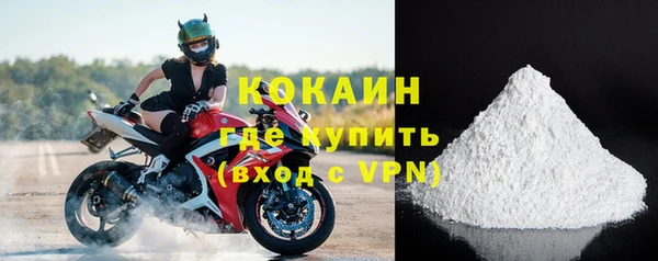 прущие грибы Богородск