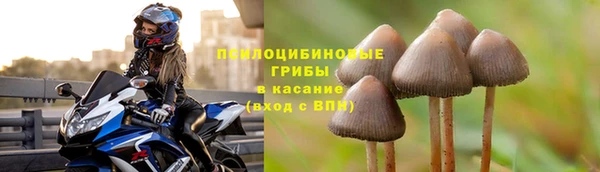 а пвп мука Беломорск