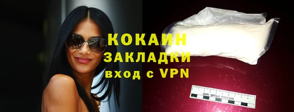 прущие грибы Богородск
