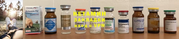 прущие грибы Богородск