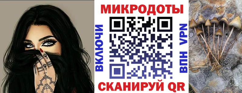 МЕГА ТОР  Луховицы  Псилоцибиновые грибы Cubensis 