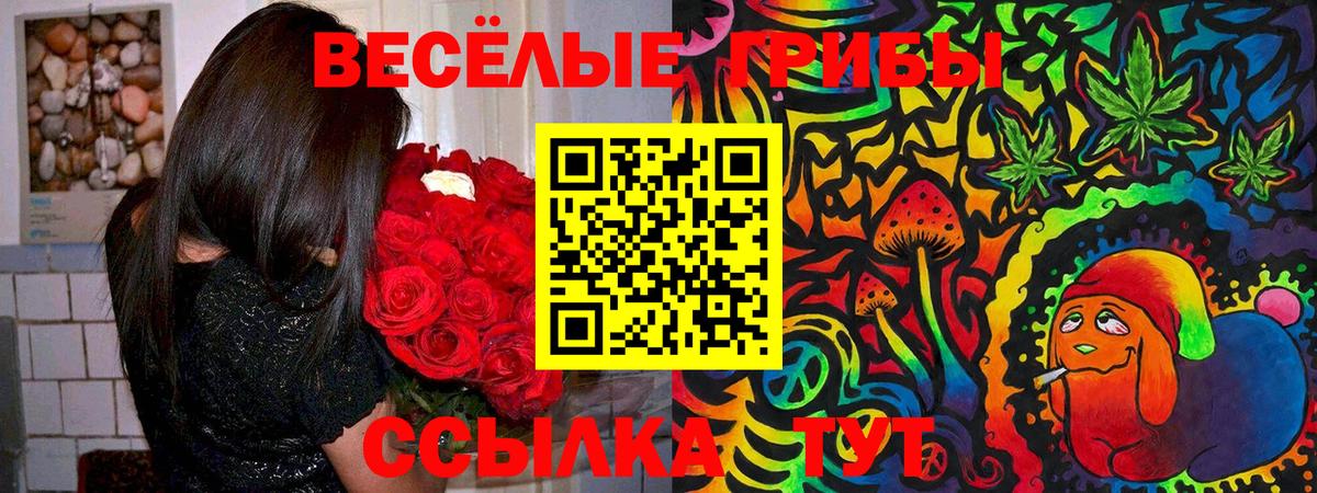 Псилоцибиновые грибы ЛСД Луховицы
