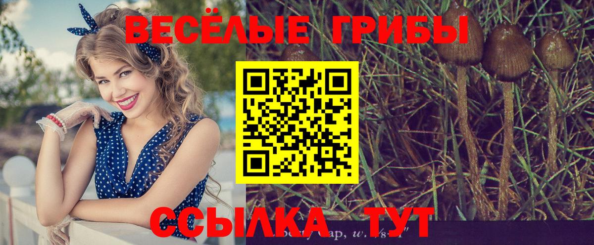 Псилоцибиновые грибы мицелий  Вход с VPN  Луховицы 